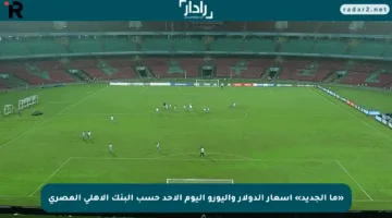«ما الجديد» أسعار الدولار واليورو اليوم الأحد حسب البنك الأهلي المصري